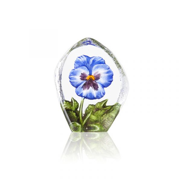 Pensée Floral Fantasy, Blå