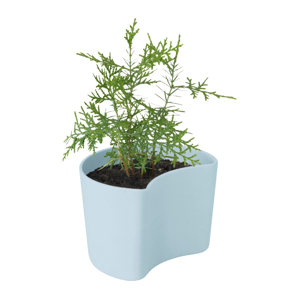Your Tree Kruka med Växtfrön, Blue