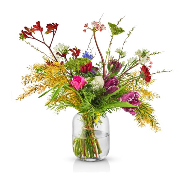 Acorn Vas 16,5cm, Clear - Bild 3