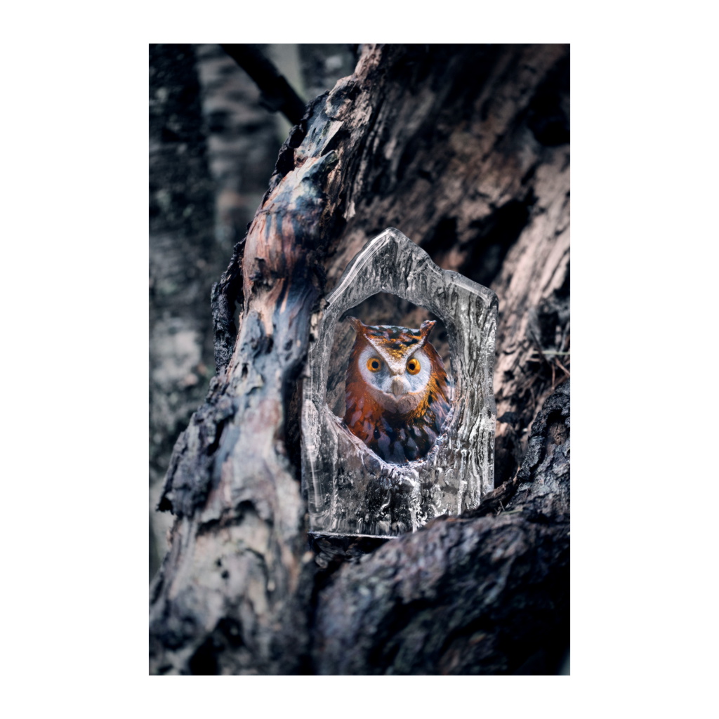 Berguv Wildlife, Målad - Bild 2