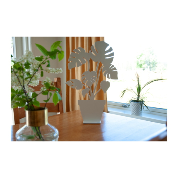 Monstera 30cm, Vit - Bild 2