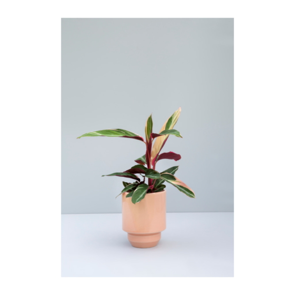 Hoff Blomkruka Ø21cm, Kvartsrosa - Bild 2