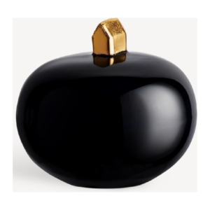 BV Earth On Top Midnight AC-23